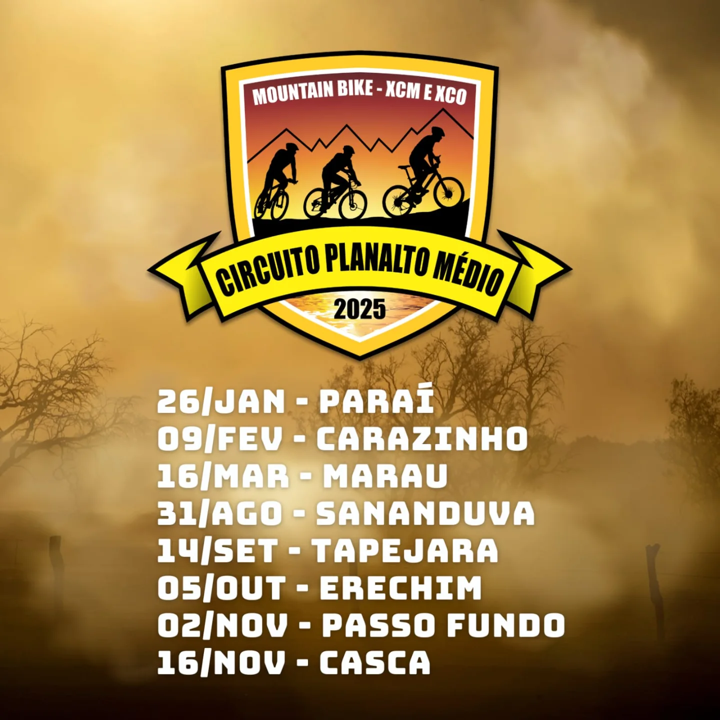Imagem do Campeonato